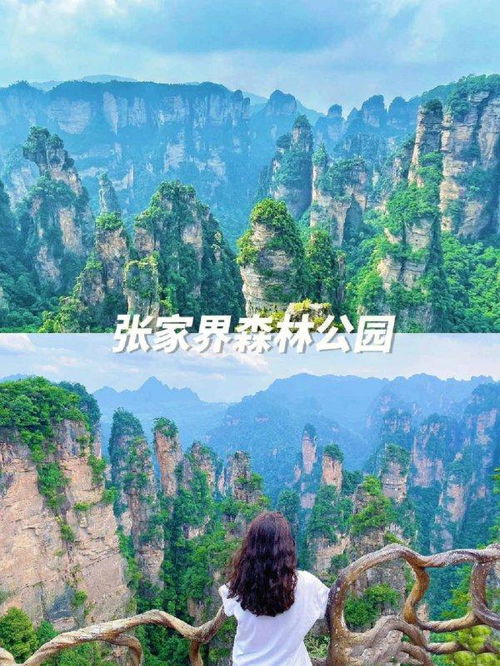 张家界四天旅游多少钱,张家界旅行社4日游价格,省钱避坑攻略