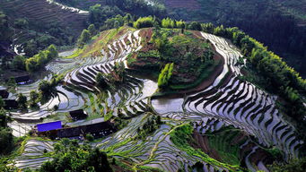 紫鹊界盛装启航,9月8日正式向游客开放,园区管理服务全面升级