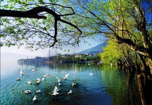 引以为鉴,刀刃向内——邛泸景区质量提升会后管理优化纪实