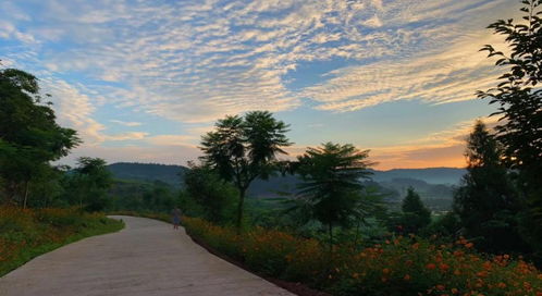 从桃花源到悠然岛 园区管理服务的诗意进化
