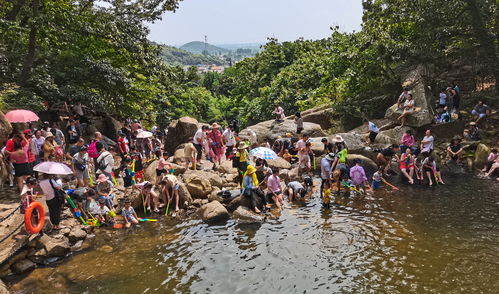 连云港市云台山风景名胜区 精细化园区管理服务，绘就山海文旅新画卷